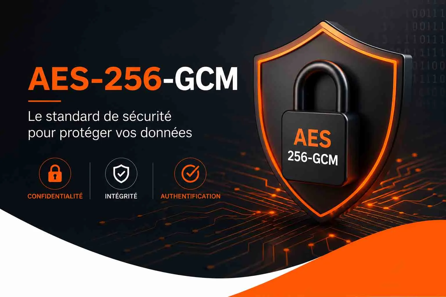 aes 256 gcm standars de sécurité