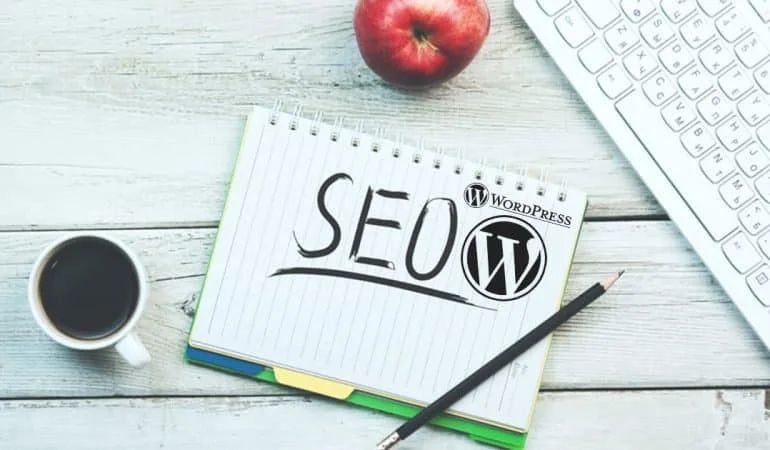 configurer all in one SEO