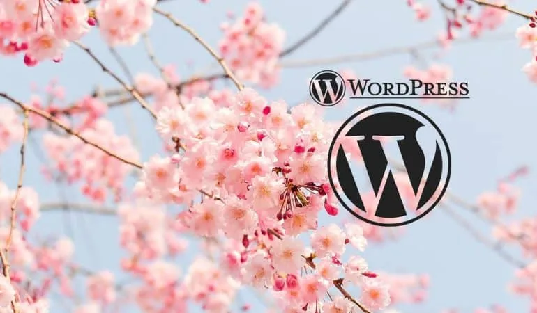 faire des redirections WP