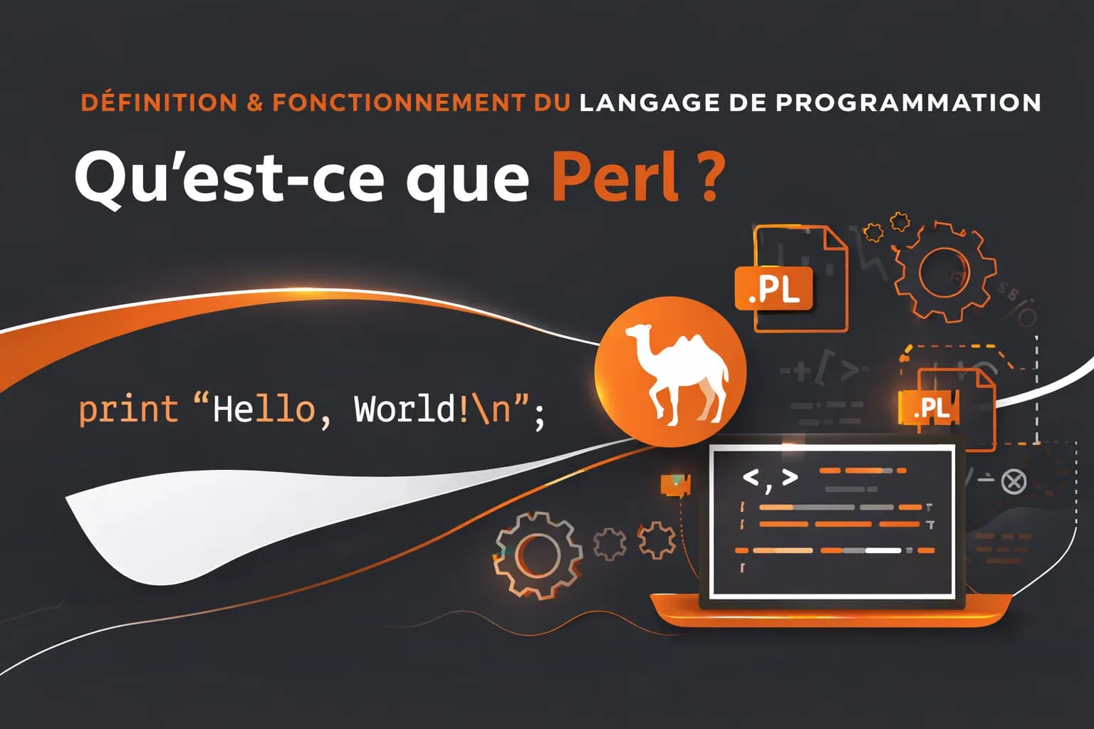 langage de programmation perl