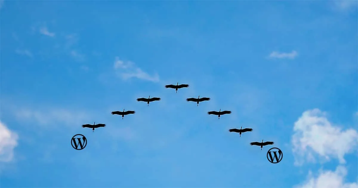 migration domaine wordpress
