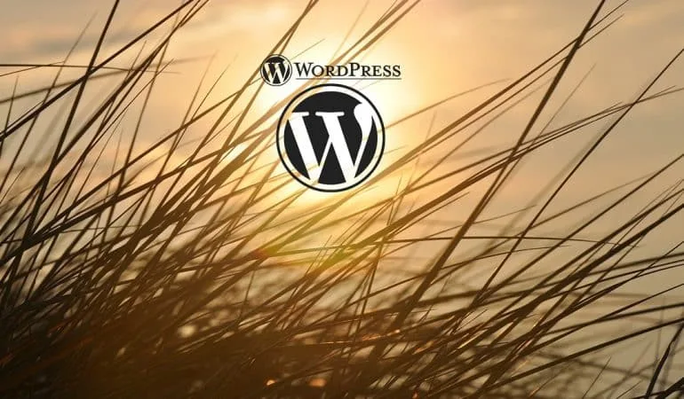 comment gerer les permaliens dans WordPress avec Yoast ?
