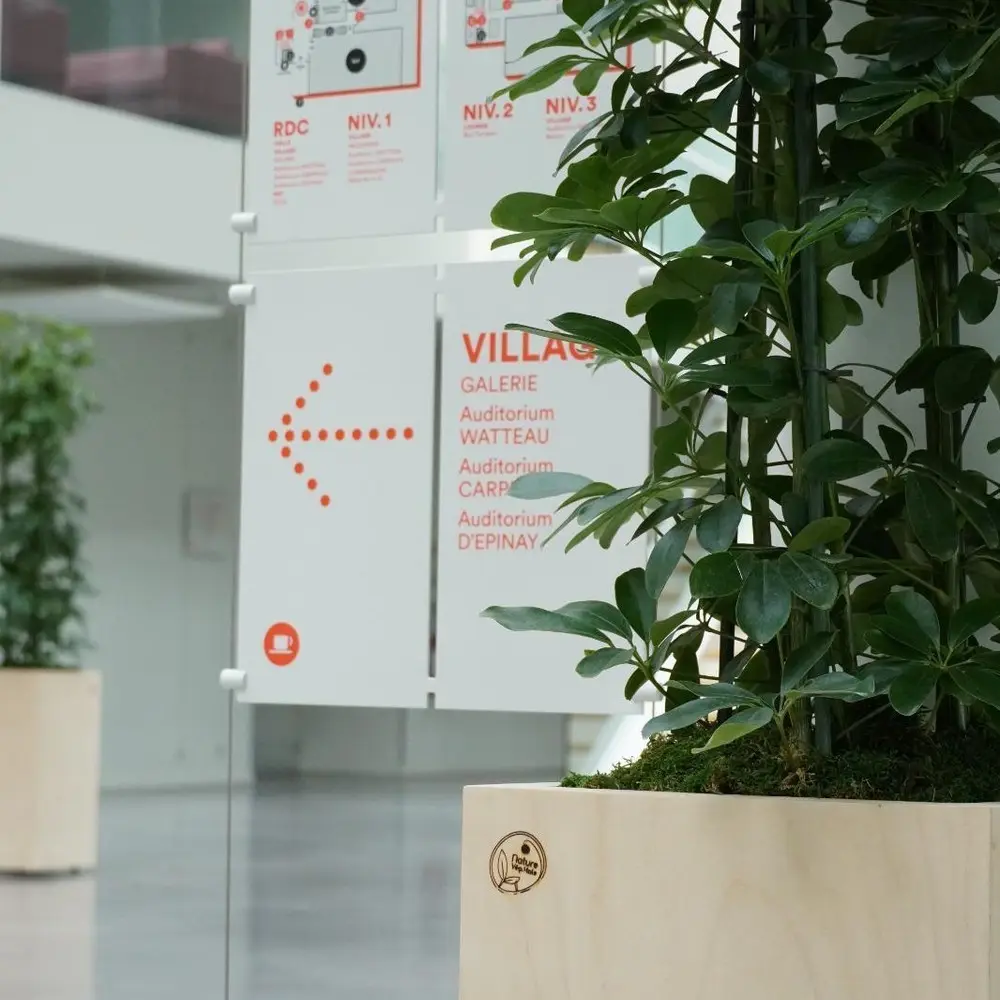 Grande plante en pot bois Nature Végétale dans le hall d'un espace professionnel
