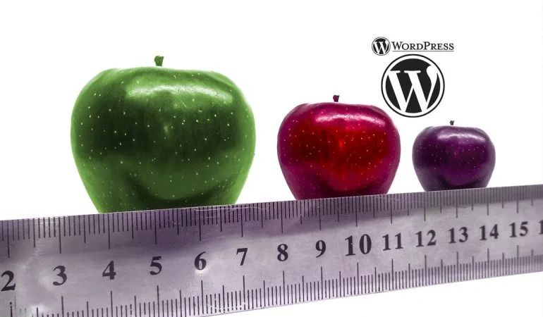 taille des images onglet reglage wordpress