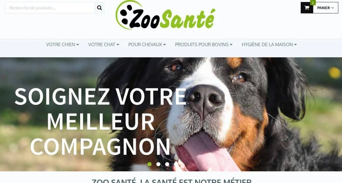 wizishop woocommerce refonte site
