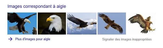 apparence des images dans un moteur de recherche