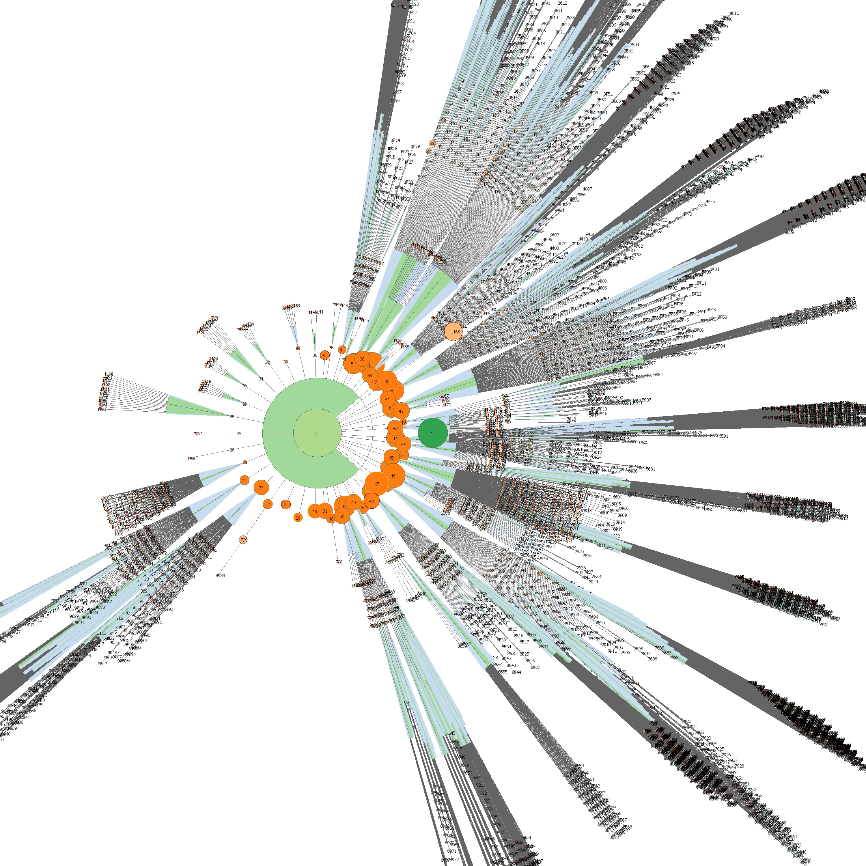 arborescence du site éclatée