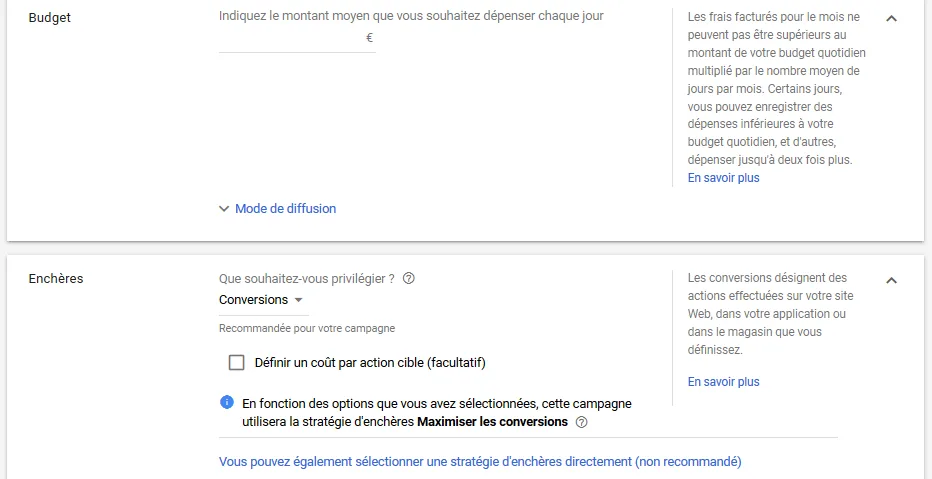 budgets et encheres google ads