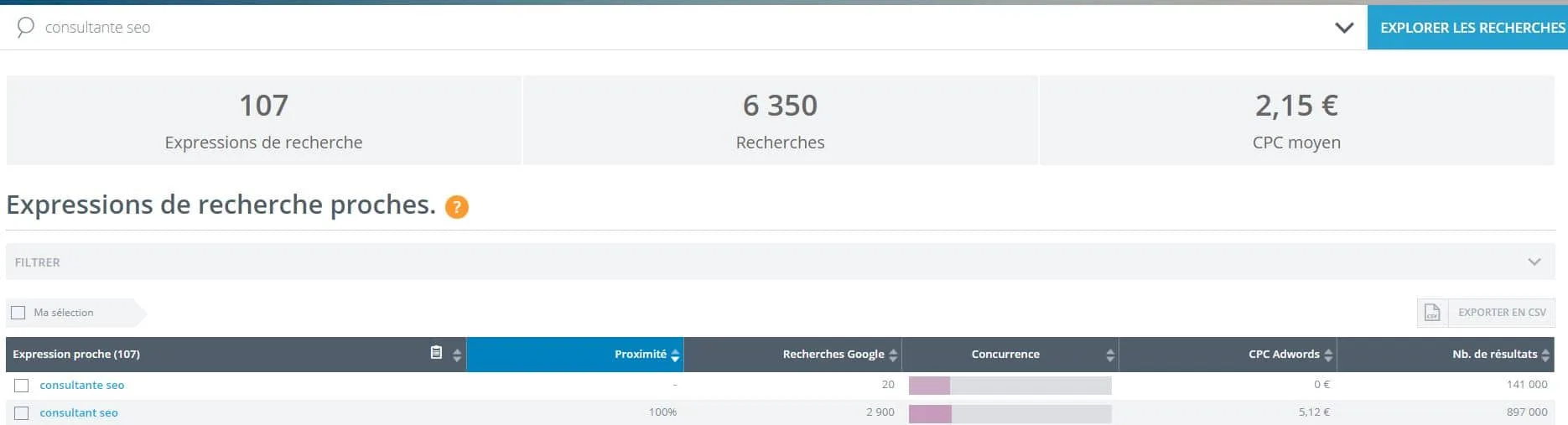 consultante seo