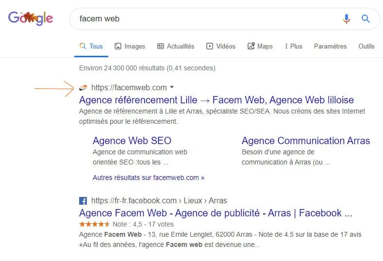 exemple affichage favicon dans google
