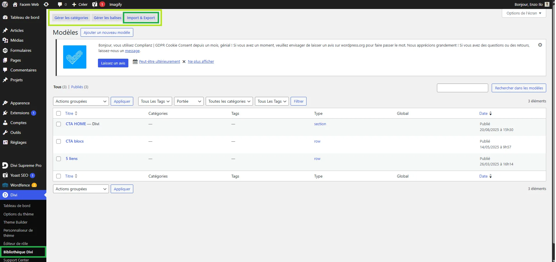 export json layout divi