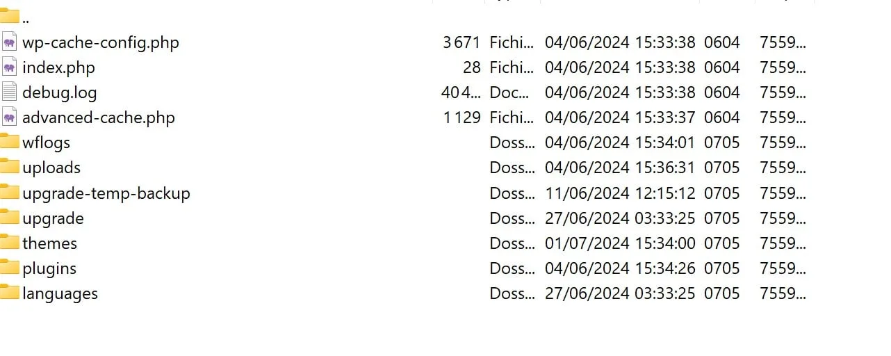 exemples fichiers et dossier du wp content