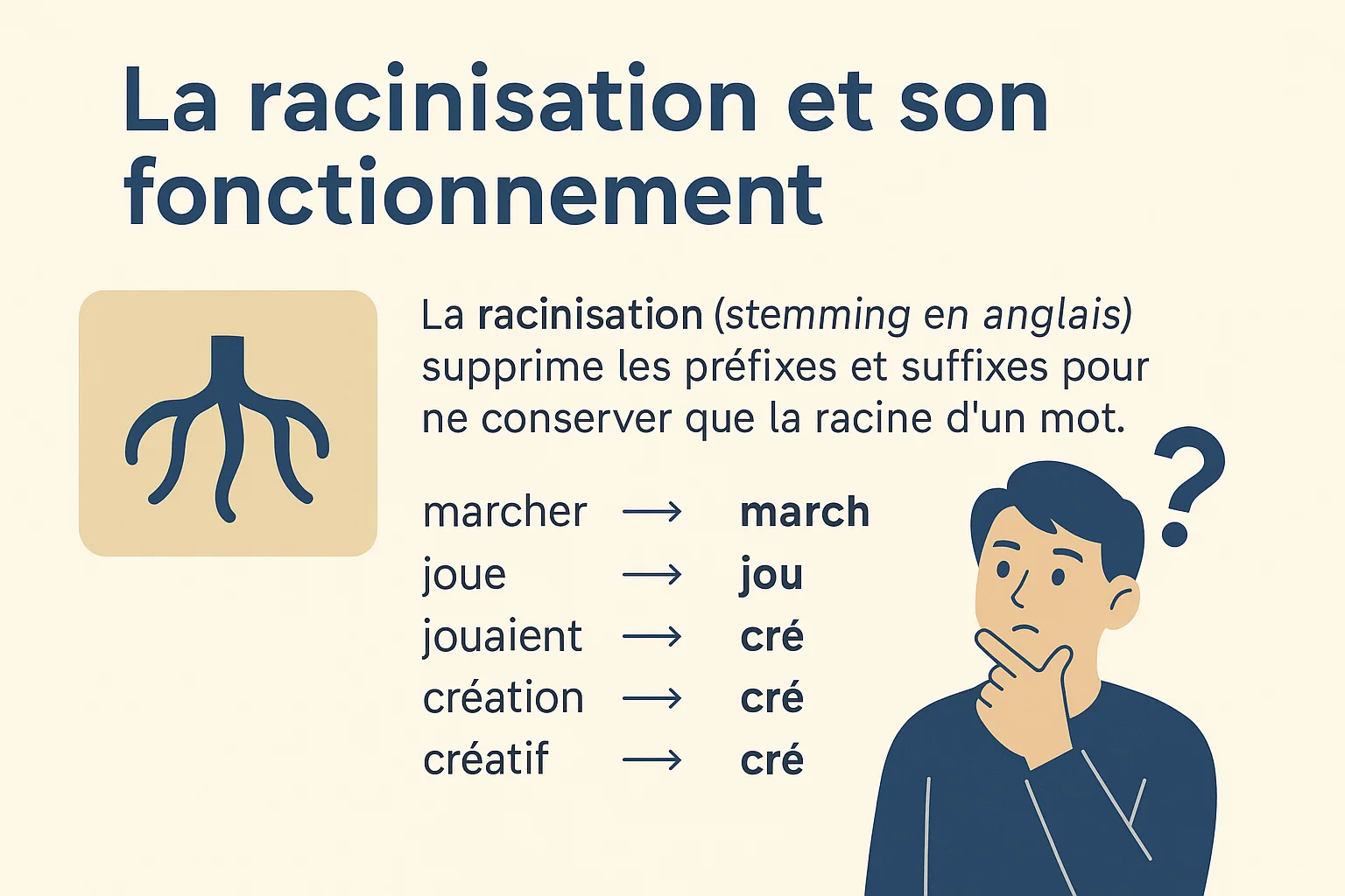 fonctionnement racinisation