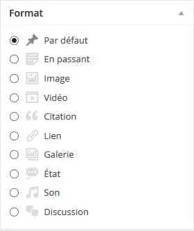 type de format article wordpress