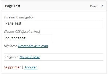 Interface WordPress avec gestion CSS activée