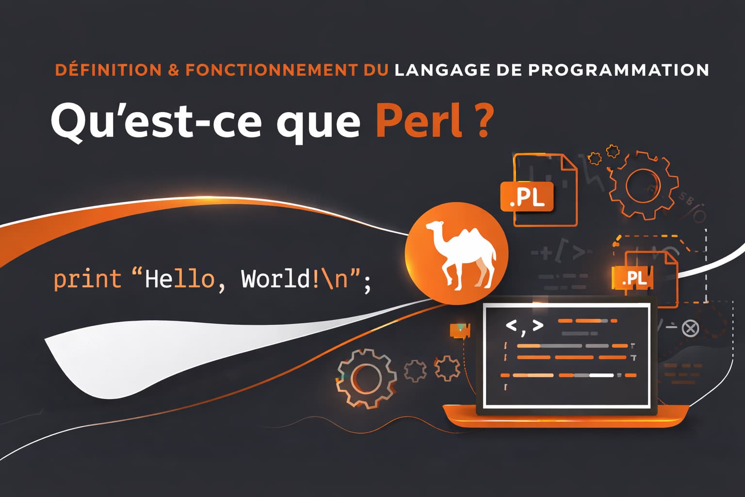 langage de programmation perl