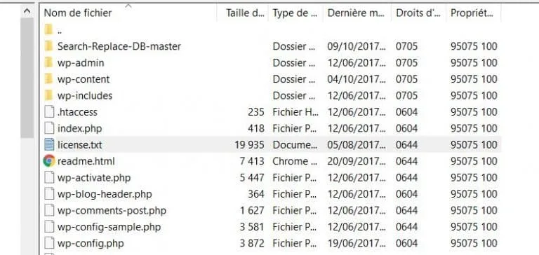 db replace pour wordpress migration