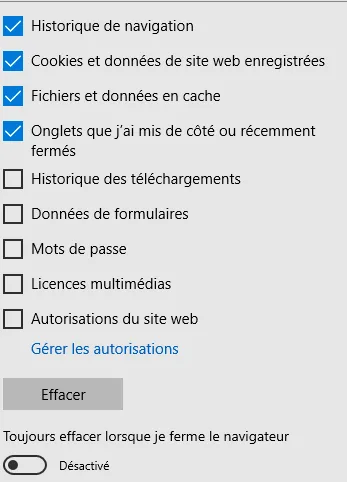 option historique internet explorer