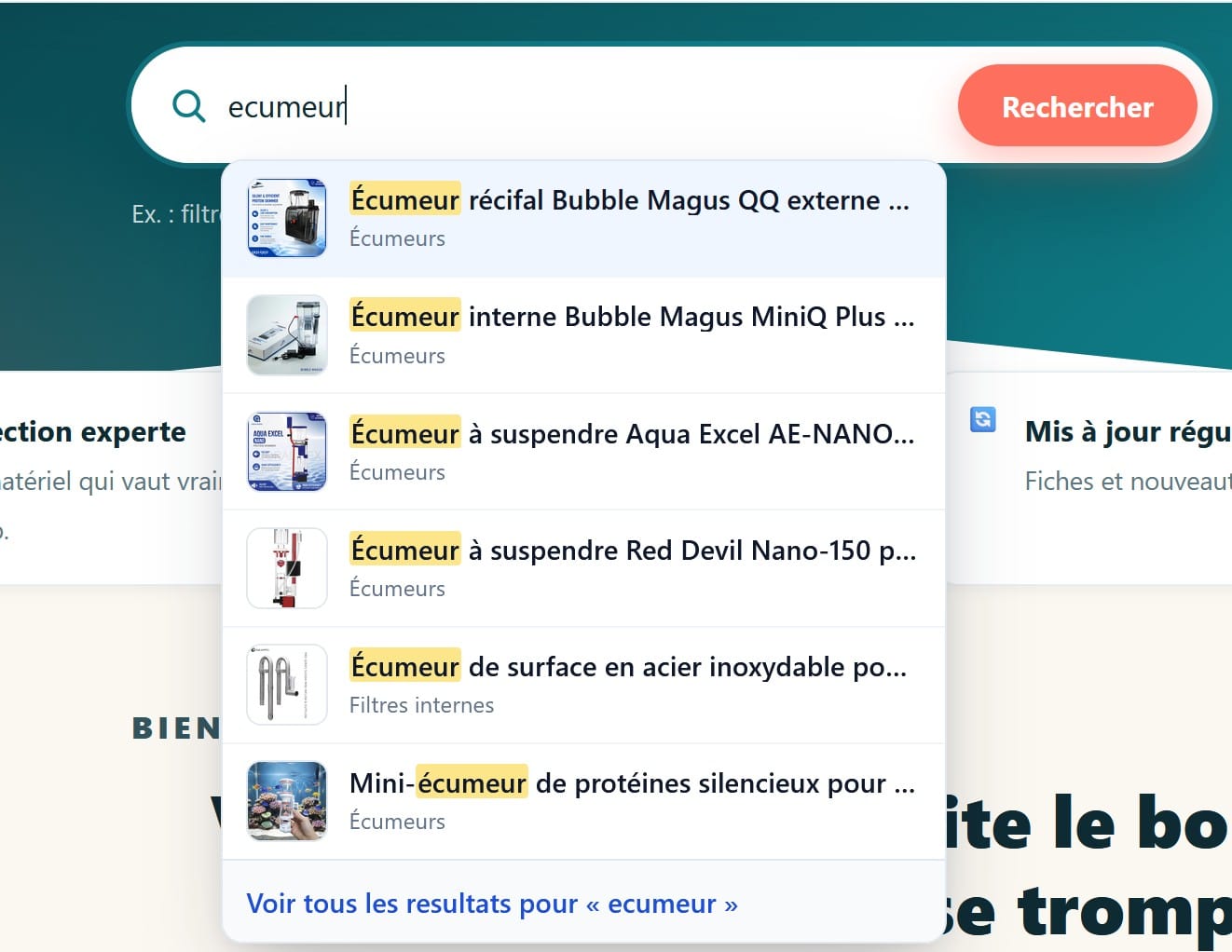 recherche interne e commerce suggest
