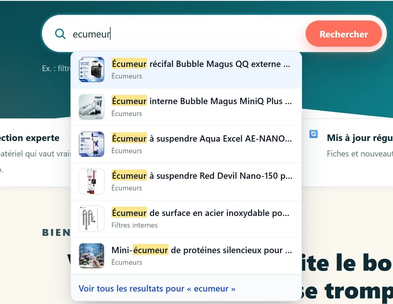 recherche interne e commerce suggest