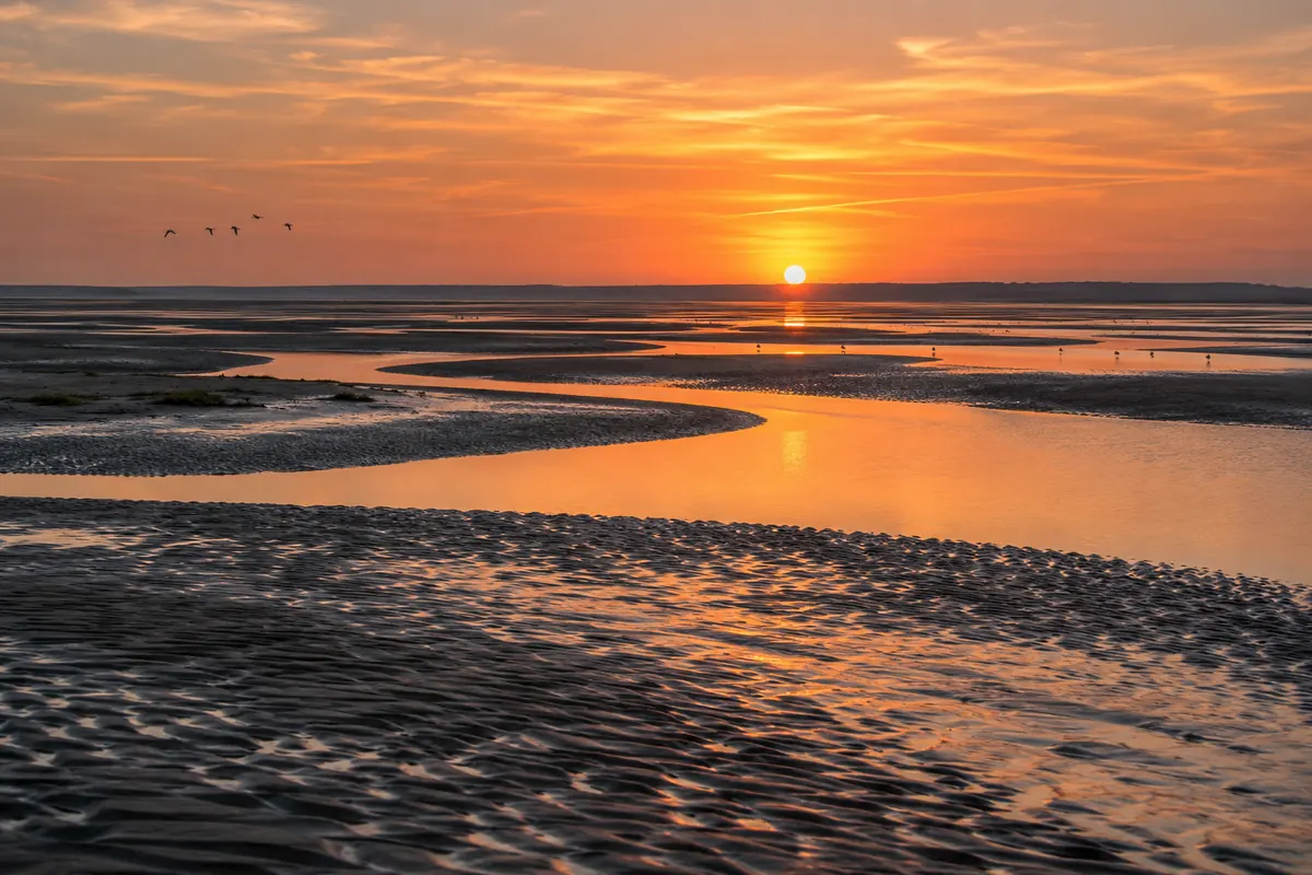 Vue de la baie de Somme à marée basse avec bancs de sable, chenaux d'eau et lumière douce de fin de journée