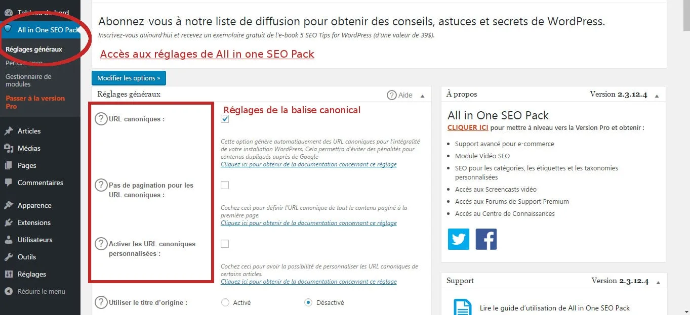 reglages all in one seo pack canonical