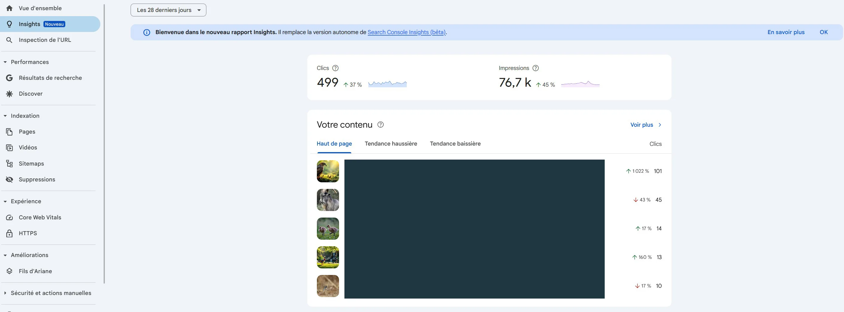 Requêtes affichées dans le rapport Insights de la Search Console