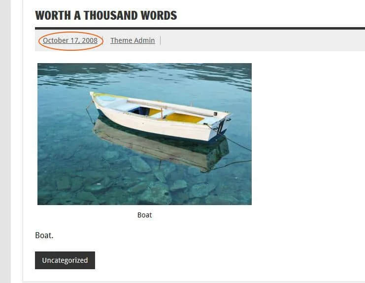 theme wordpress avec probleme seo