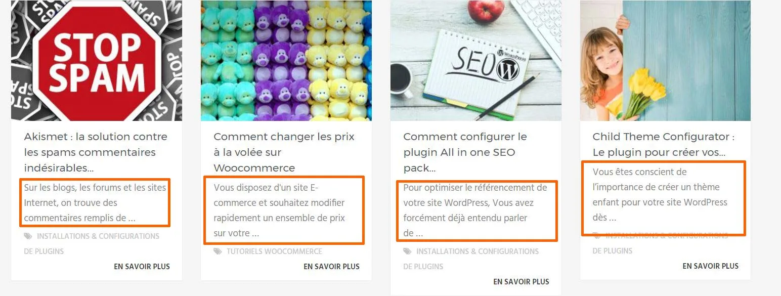 exemple d' extraits à modifier des articles dans les pages listes wordpress