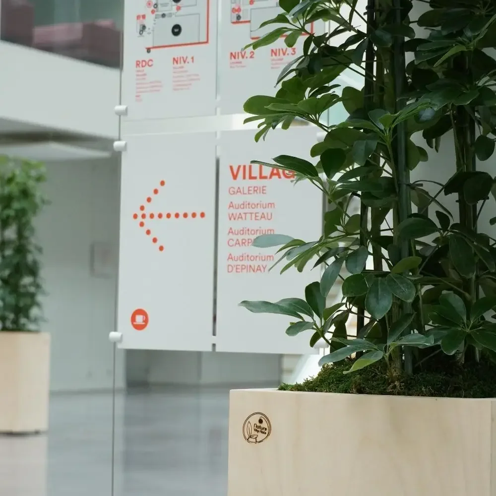 Grande plante en pot bois Nature Végétale dans le hall d'un espace professionnel