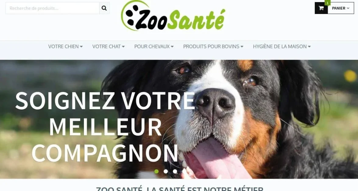 wizishop woocommerce refonte site