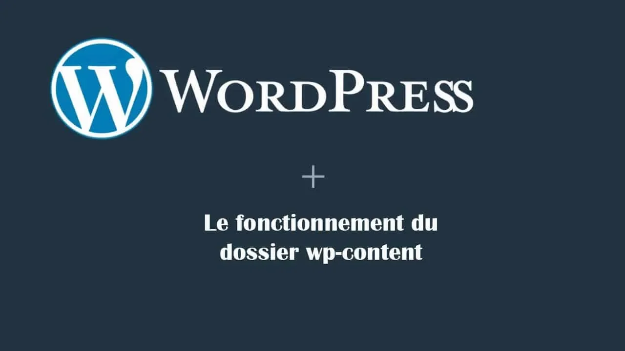 fichier wp content wordpress