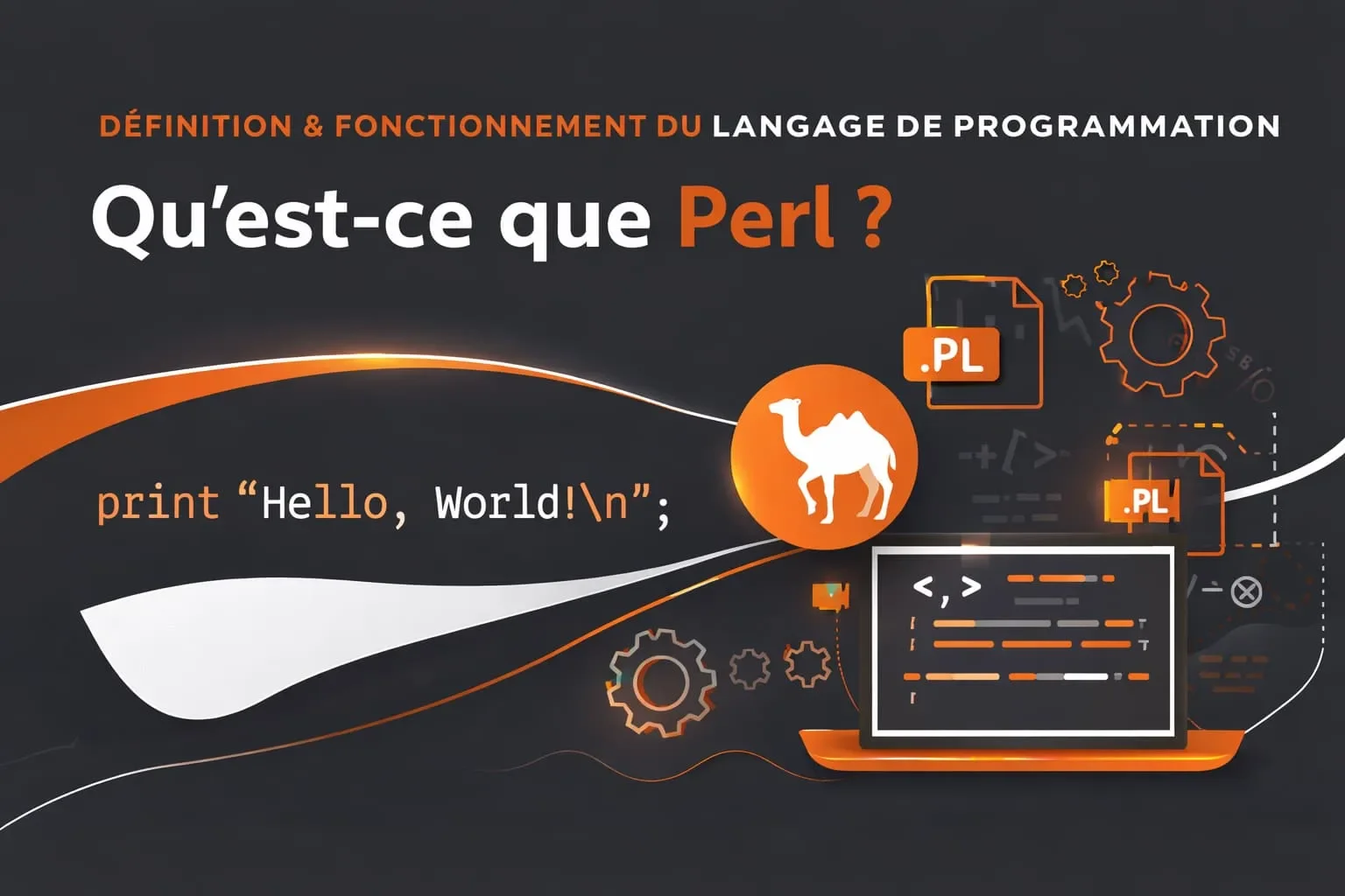 langage de programmation perl