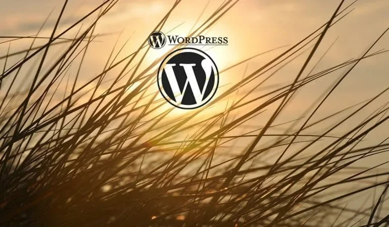 comment gerer les permaliens dans WordPress avec Yoast ?