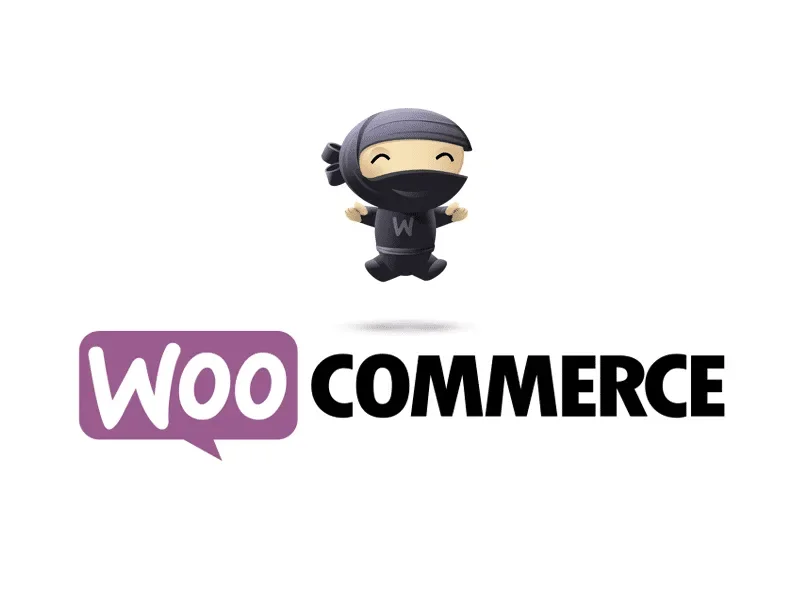 comment traduire woocommerce en français