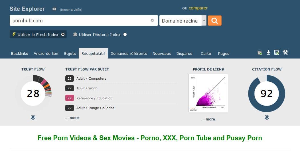 trust flow de site porno