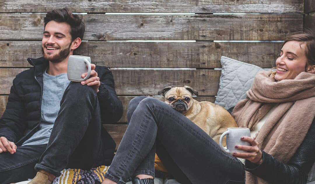 Référencement Gratuit sur Google : méthode, outils et logiciels