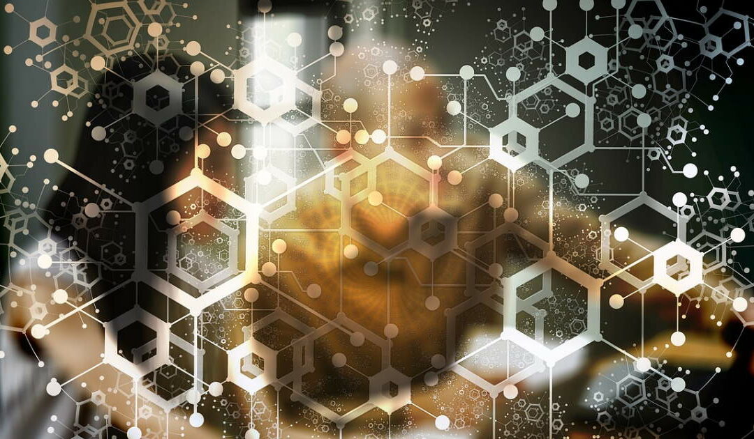 Algorithme de recherche Google : précisions et fonctionnement