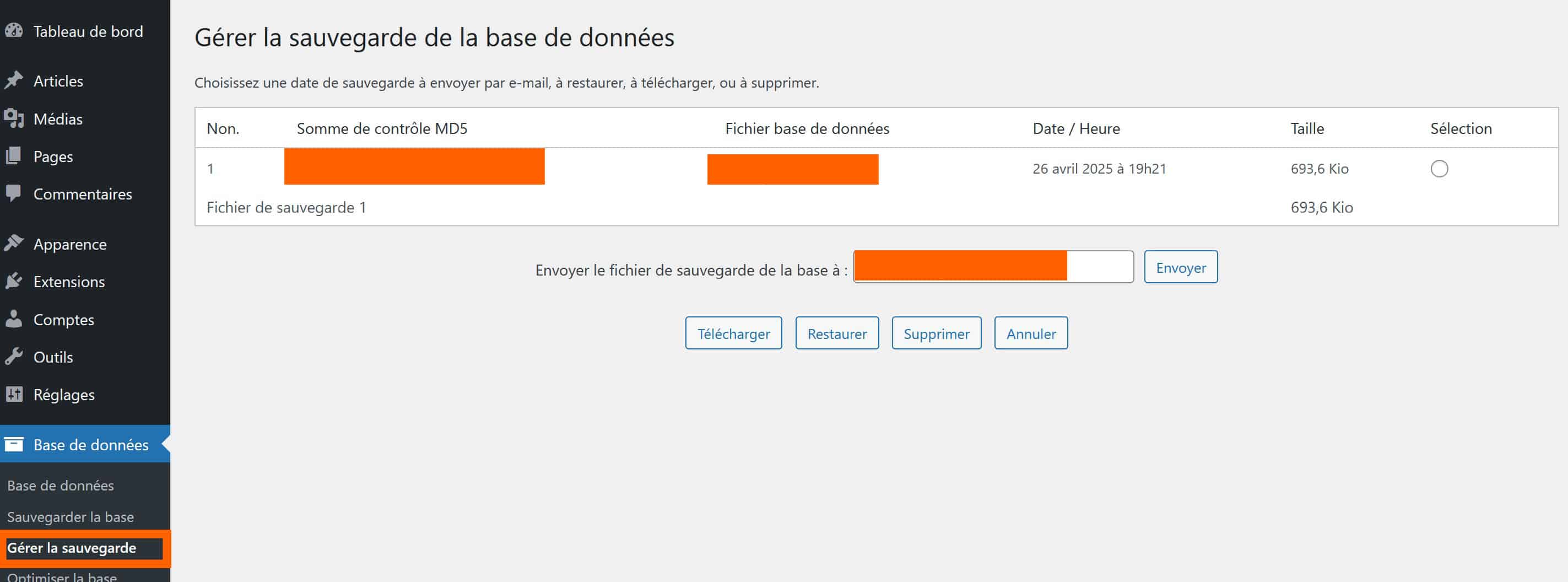 onglet gestion des sauvegardes wp db manager