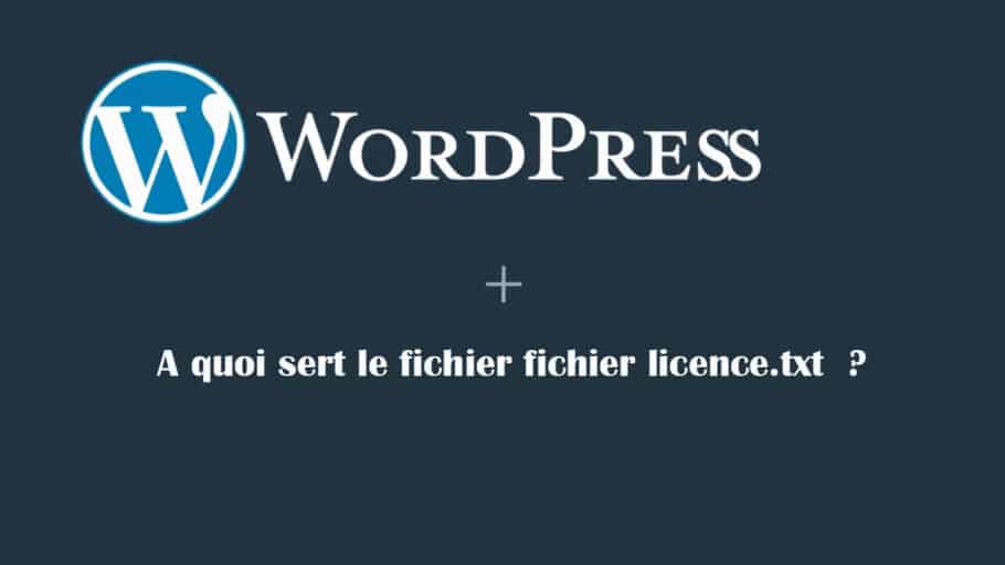 fichier licence txt