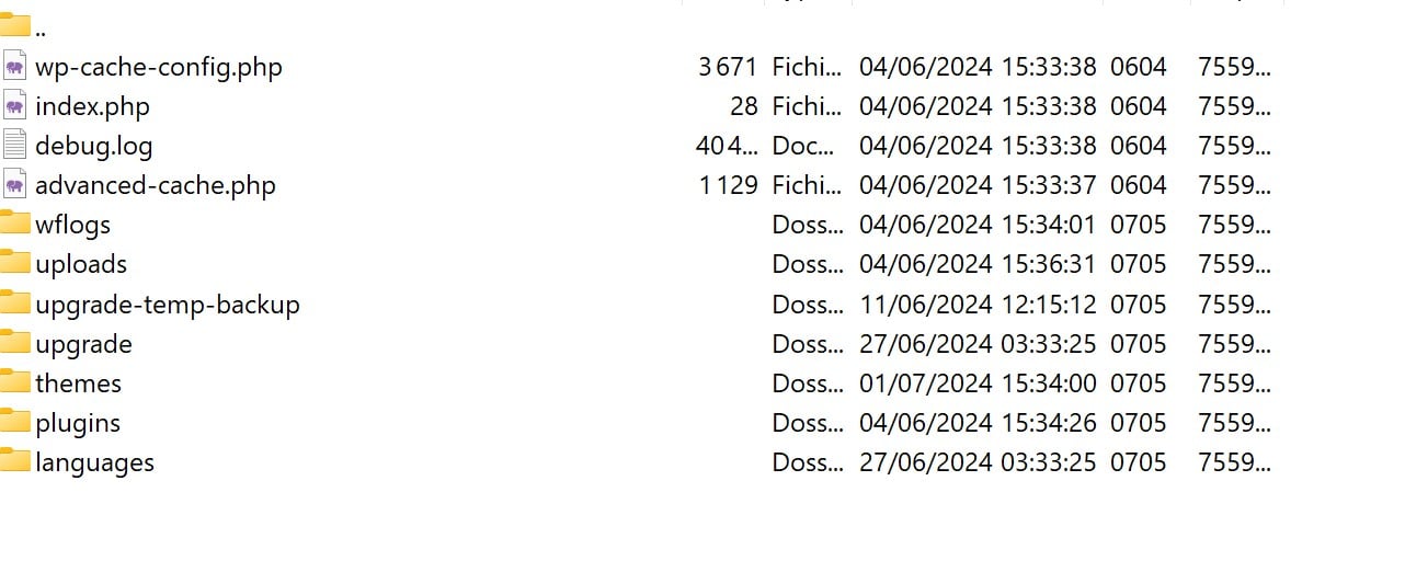 exemples fichiers et dossier du wp content