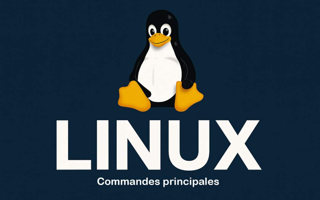 Commandes Linux : Définition, quelles sont les plus utilisées ?