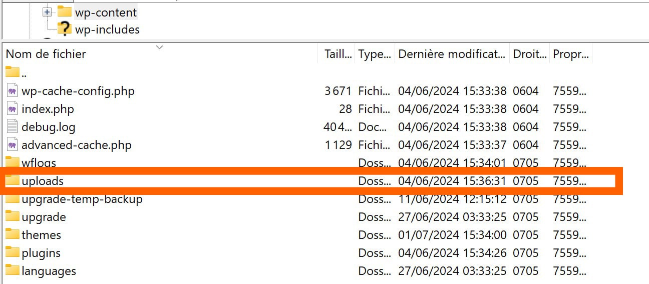 dossier uploads dans WP