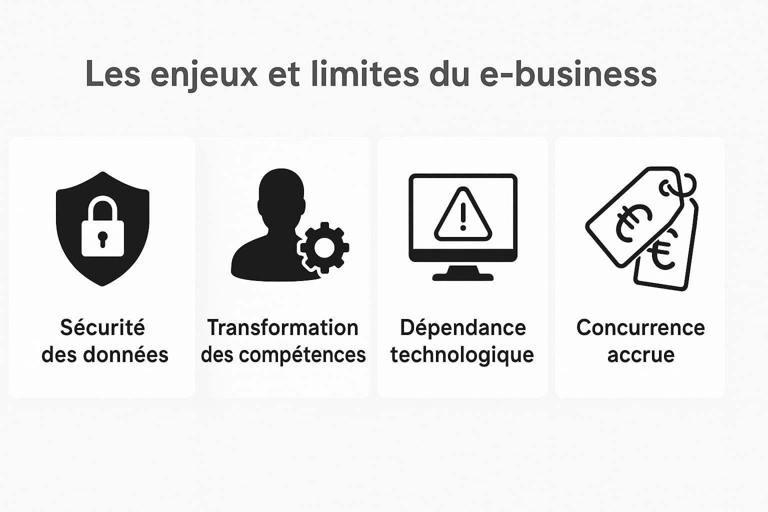 limites du e-business