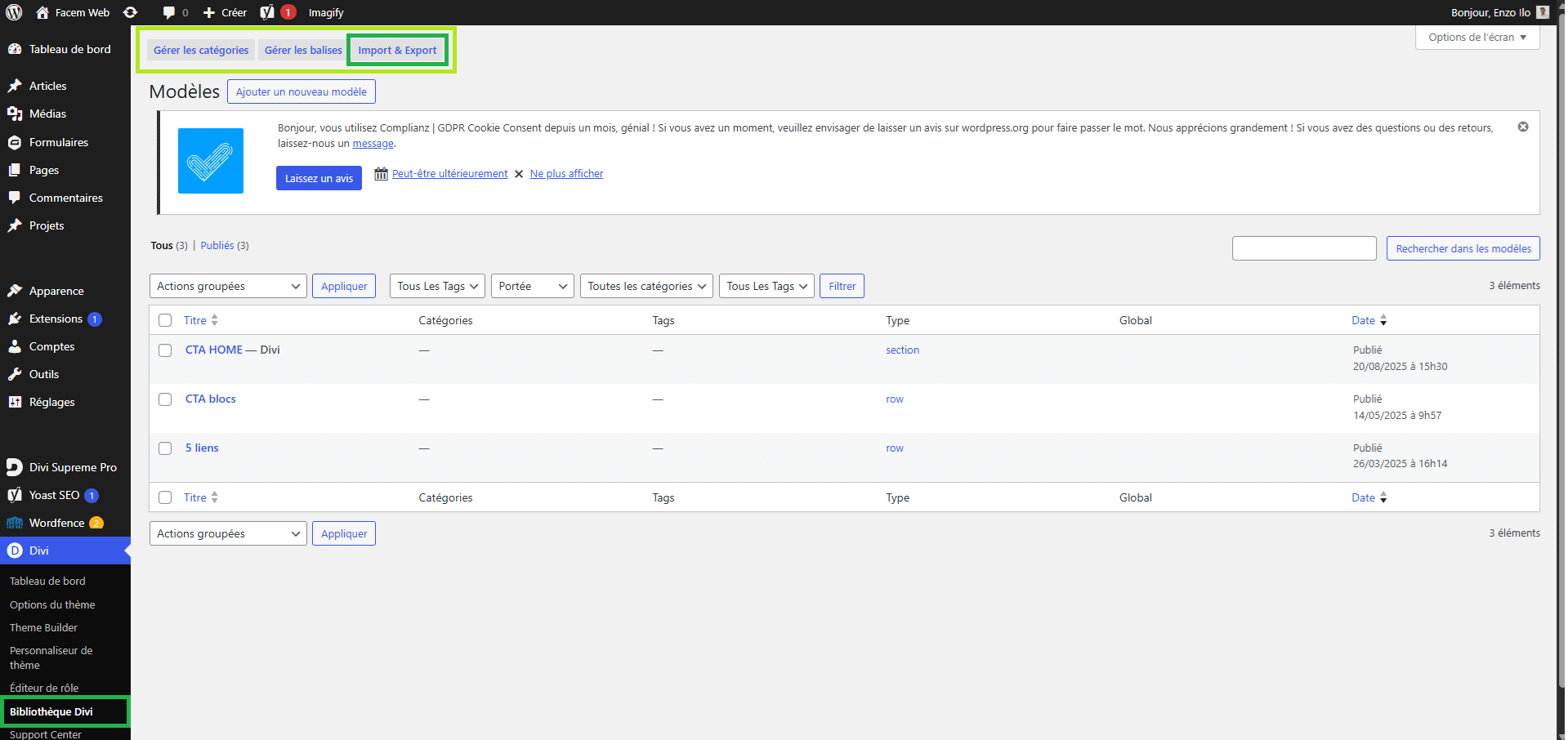 export json layout divi