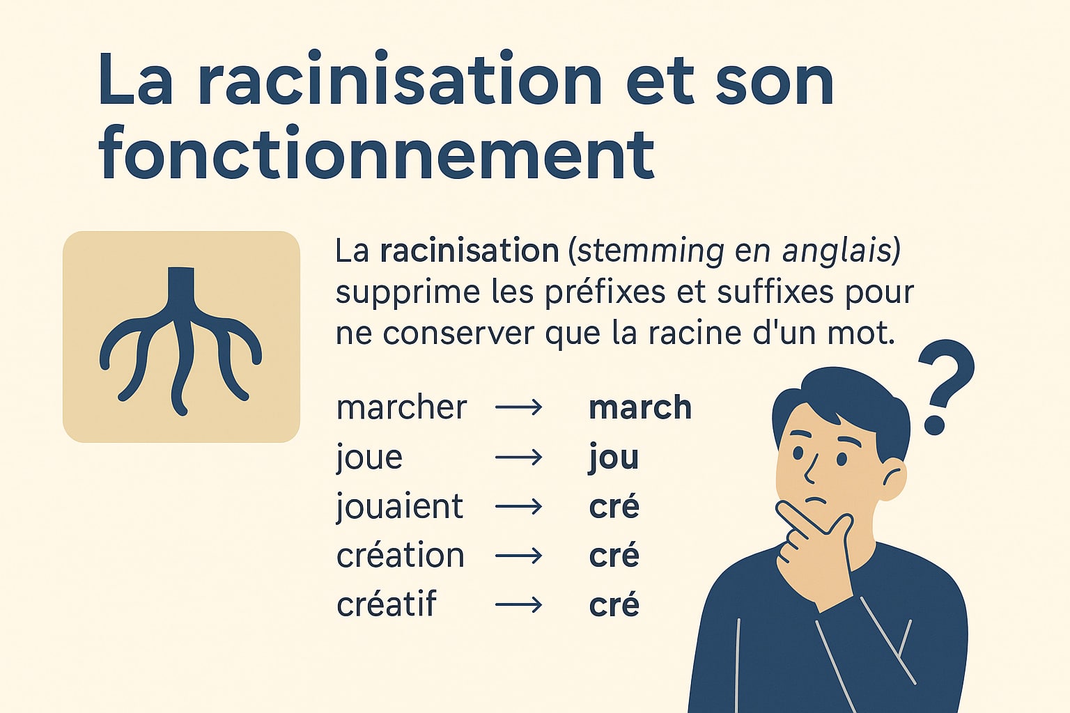 fonctionnement racinisation