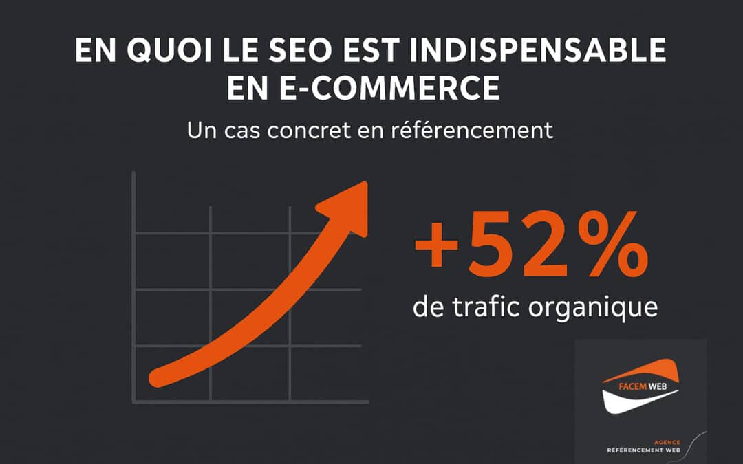 En quoi le SEO est indispensable en e-commerce : Un cas concret en référencement