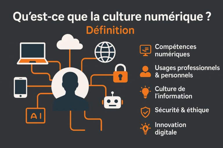 culture numerique definition