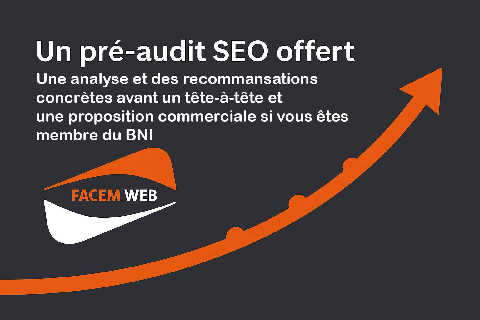pre audit seo offert membre bni