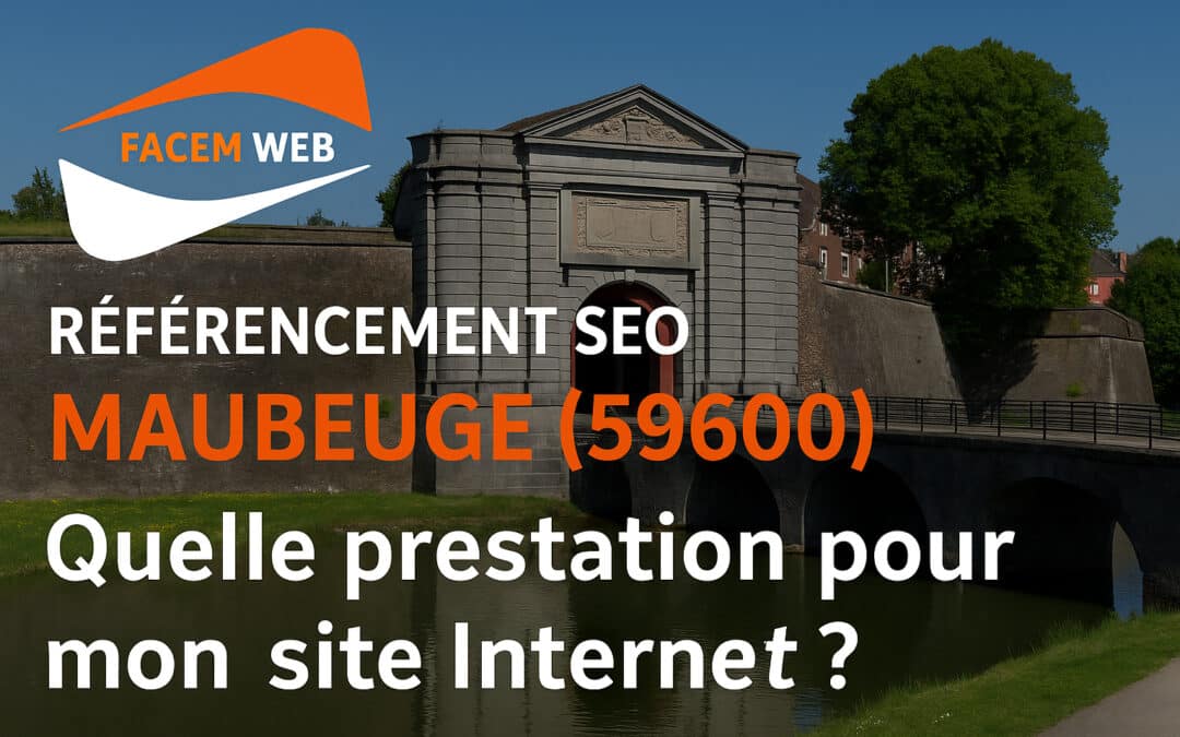 Référencement SEO Maubeuge (59600) : Quelle prestation pour mon site Internet ?